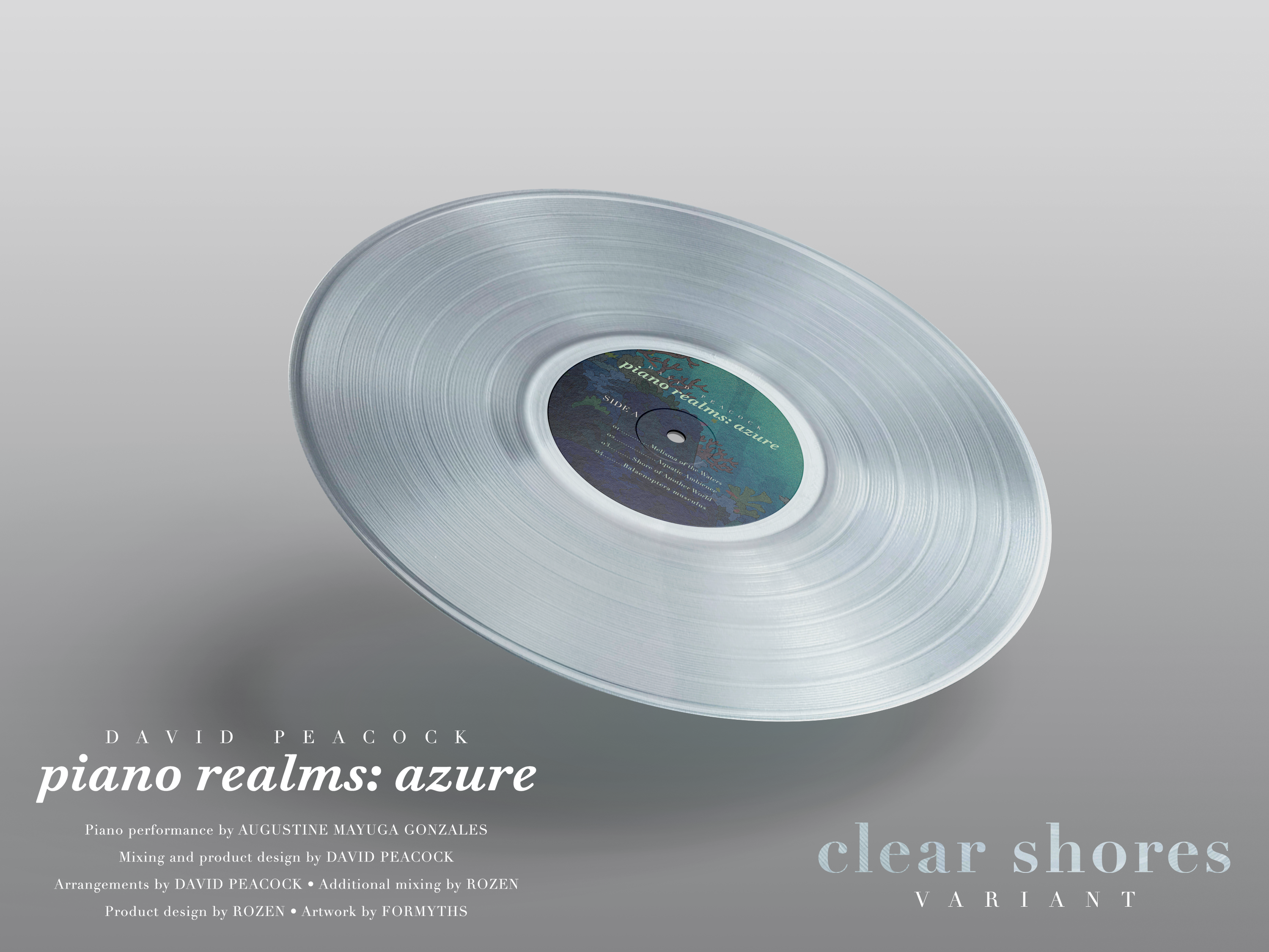 05 Vinyl disc clear shores 1